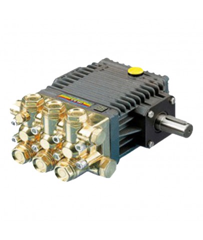 interpump 11,5 litre 172 bar Pompa W 953 - Bakaş Makina