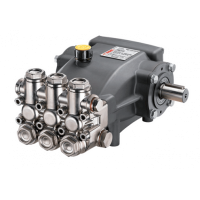 NPM NICKEL-PLATED SERİSİ 18 LİTRE 250 BAR POMPA NPM1825RN - Bakaş Makina